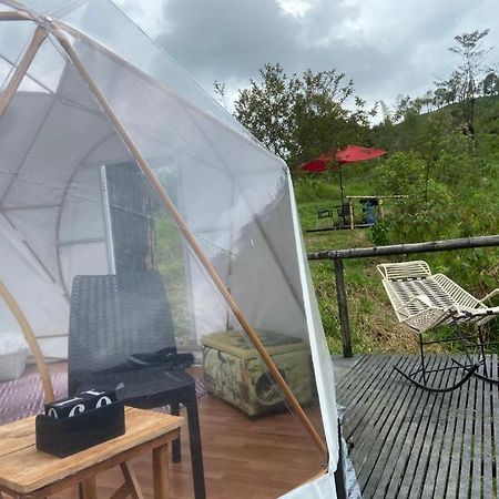 فندق بيريرافي  Alua Glamping المظهر الخارجي الصورة